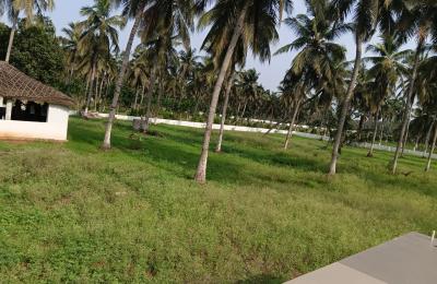 Near Chintapali Beach,Bogapuram
